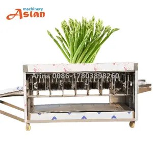 Mesin pengupas asparagus singkong harga pabrik mesin pengupas selada ubi efisiensi tinggi