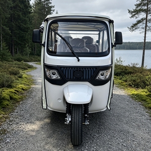 Tuk Tuk <span class=keywords><strong>El</strong></span>éctrico de 7500W y 6 Pasajeros, Aprobado por la CEE, <span class=keywords><strong>para</strong></span> Transporte de Huéspedes de Hotel, Servicio de Transporte al <span class=keywords><strong>Aeropuerto</strong></span>, Batería de Litio EV - Product Image 2