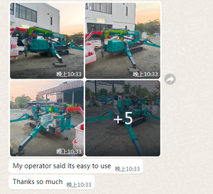 מחיר המפעל סין יצרן העכביש עכבישים 3 טונות עכביש זחילה מנוף/epa הרמת מנוף למכירה - Product Image 2