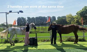 Dispositivo di terapia del <span class=keywords><strong>PEMF</strong></span> a campo elettromagnetico pulsato cavalli terapia magnetica per massaggio muscolare - Product Image 5