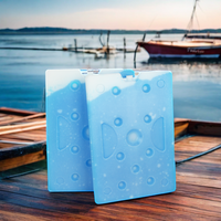 Sac isotherme réutilisable en plastique PCM (matériau à changement de phase) pour le stockage de médicaments, glacière, boîte à glace, brique de glace
