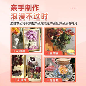 Sable de séchage anti-humidité pour fleurs fraîches et spécimens de roses séchées, avec source de lumière LED pour le déshydratation et la déshumidification DIY - Product Image 5