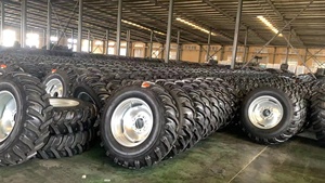 ยางรดน้ำแบบไบแอสลายต่างๆ ขนาด 14.9-24 สำหรับระบบรดน้ำกลาง - Product Image 6