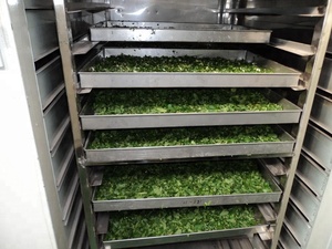 Máquina Secadora Industrial de Nuez de Areca / Máquina para Secar Nueces / Máquina para Secar Frutos Secos - Product Image 6