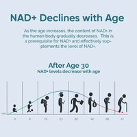 Kapsul OEM NAD Nicotinamide Adenine Dinucleotide Resveratrol Milk Thistle Mendukung Metabolisme Energi Seluler Kesehatan Kulit