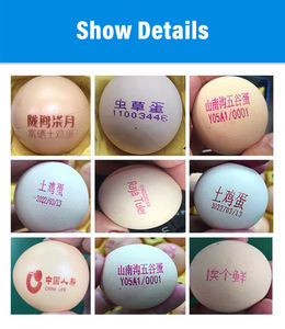 Imprimante à œufs automatique, machine d'impression à jet d'encre pour plateau à œufs, code <span class=keywords><strong>de</strong></span> lot, date, logo pour l'impression d'œufs <span class=keywords><strong>de</strong></span> <span class=keywords><strong>canard</strong></span> et <span class=keywords><strong>de</strong></span> pigeon - Product Image 3