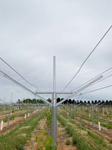 Mạ kẽm cấu trúc mạnh mẽ bảng thép nho đầu hồi <span class=keywords><strong>trellis</strong></span> Hệ Thống Bài với tất cả các phụ kiện - Product Image 3