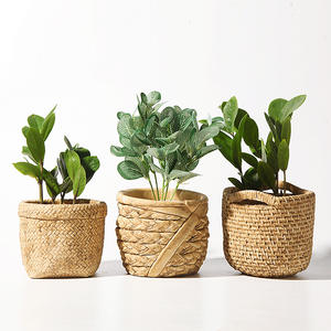 Wholesale new arrival Japanese style planter succulent flower pot bonsai garden cement pot