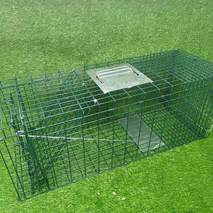 Trampas de Metal Galvanizado por Inmersión en Caliente, Plegables, de Entrada Única, <span class=keywords><strong>para</strong></span> Animales Salvajes Vivos, Conejos, Ardillas, <span class=keywords><strong>Gatos</strong></span>, Trampas <span class=keywords><strong>para</strong></span> Caza - Product Image 2