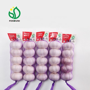 Frais chine <span class=keywords><strong>ail</strong></span> <span class=keywords><strong>d</strong></span>'<span class=keywords><strong>éléphant</strong></span> en 2019 nouvelle récolte - Product Image 4
