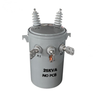 14.4 Kv 25KVA 50KVA 100 KVA Düşük Kayıplı Tek Fazlı Toroidal Bobin Dağıtım Transformatörleri 50/60HZ
