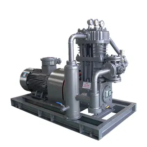 CE RoHS Certificates Oil Free Small Industrial Gas Ammonia Compressor for Liquefaction Gas Station