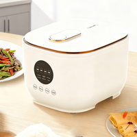 5L acier inoxydable sain faible teneur en sucre cuiseur à riz électrique tasse à mesurer 5 fonctions de cuisson écran tactile numérique 24H minuterie faible