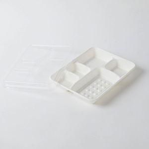 Barquette jetable biodégradable et écologique en bagasse de canne à sucre à 4 compartiments pour les fêtes - Product Image 4