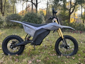Motocicleta Eléctrica Todoterreno de 2000W, 60V, 20Ah con Batería de Litio, Carga de 75KG y Alcance de 25KM - Product Image 5