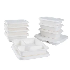 100% Biodegradable Tableware Food Tray With Lid Compartment Food Sugarcane Food Container
