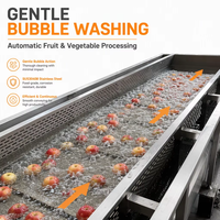 6m Automatische Voedselverwerkingslijnen - Fruit- en groentewasmachine Voedselsterilisator 800kg/u capaciteit SUS30408 Materiaal 3mm