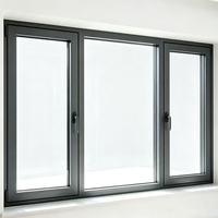 Ventana Abatible Minimalista de Marco Estrecho con Doble Vidrio y Rotura de Puente Térmico, Alta Transmitancia para Solárium Moderno