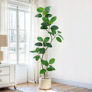 7FT Artificielle Vert Arbre En <span class=keywords><strong>Caoutchouc</strong></span> Extérieur Plancher Tropical Grande Plante De Plancher avec Toucher Réaliste En <span class=keywords><strong>Caoutchouc</strong></span> <span class=keywords><strong>Ficus</strong></span> pour La Décoration Intérieure - Product Image 2