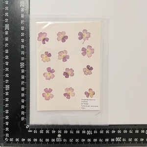 12 pièces/sac variété de <span class=keywords><strong>verveine</strong></span> couleurs naturelles <span class=keywords><strong>fleur</strong></span> pressée pour la décoration d'art d'ongle - Product Image 5