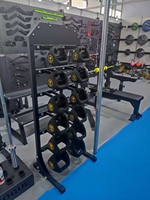 Support de rangement multifonctionnel 3-en-1 en acier pour haltères et kettlebells – Équipement de fitness pour la gym
