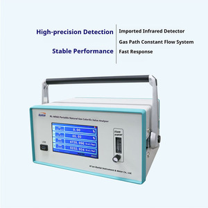 Analizador de Gases Portátil Profesional Runlai M502, Multifuncional, para CO2, CH4, DP, CnHm, Detector Personalizable - Product Image 2