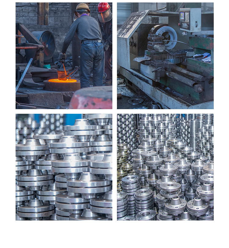 Custom DIN2576 Pn40 St37.2 Pl Ss Flanges ISO Standard Super Duplex Stainless Steel Flange Alloy Metal Flange