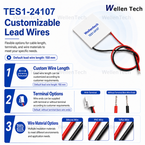Sistema de Enfriamiento Peltier por Líquido TES1-24107 de 40x40x2.95 mm y 120 W para Control Térmico de Placas Frías - Product Image 2