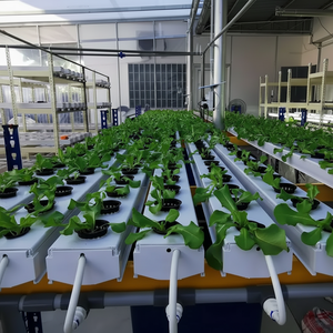 ระบบไฮโดรโปนิกส์ประหยัดน้ำด้วยหอปลูกแบบแอโรโปนิกส์เพื่อการผลิตพืชผลที่ยั่งยืน - Product Image 1