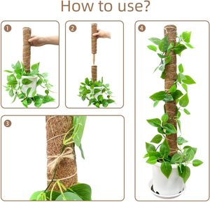 Venta caliente <span class=keywords><strong>Bonsai</strong></span> Plantas trepadoras Soporte 40cm <span class=keywords><strong>Coco</strong></span> Coir Moss Pole con accesorios - Product Image 3