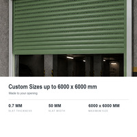 Porte à enroulement en alliage d'aluminium antivol, sur mesure, pour atelier, entrepôt, centre commercial, projets en gros