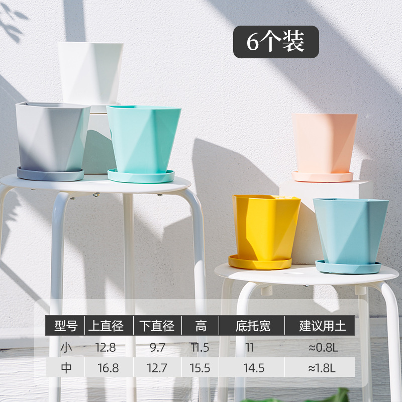 Couleurs mélangées, paquet de 6 (avec plateau) -- Dongxu
