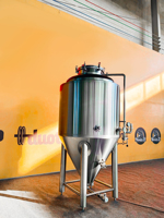 400L SUS304 Fermenteur conique personnalisé à vendre