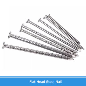 लकड़ी की सीमेंट दीवार और कंक्रीट 0.5/0.8-6.0 इंच लंबा छोटे नाखून स्क्रू के लिए 304 स्टेनलेस स्टील फास्टनरों - Product Image 2