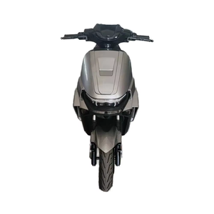 Motocicleta con Motor de 1000W, Velocidad de 55km/h, Motocicletas para Adultos - Product Image 3