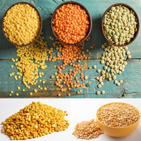 Machine à couscous nouveau design Machine à lentilles Chana Dal Machine de production de riz artificiel Frk