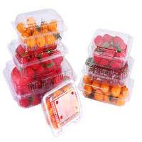 Boîte d'emballage en plastique 200/250/500g Emballage en coquille pour myrtilles, cerises, tomates, fraises, fruits frais
