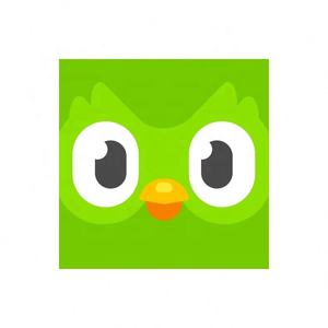 Cuenta Premium Duolingo Pro 1 Año, Activa Tu Propia Cuenta, Aplicable Globalmente en Todo el Mundo - Product Image 3