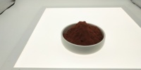 Fournisseur direct d'usine, complément alimentaire de haute qualité, extrait d'écorce de pin OPC, 95% de proanthocyanidines
