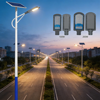 Lampadaire solaire LED IP66 de haute qualité 100W/200W avec panneau solaire pour allée de villa et parcours de golf