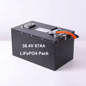 Batería de Litio Lifepo4 de 36V 48V 67Ah 24v con BMS, Batería Lipo para Sistema Solar, Vehículos Eléctricos, Carretillas Elevadoras, Carritos de Golf, <span class=keywords><strong>AGV</strong></span>, FCM, Marina - Product Image 5