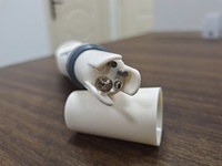 Testeur de qualité de l'eau 0-14pH 3-en-1 numérique avec mesure de température et d'EC, rétroéclairage pour aquariums et eau potable, personnalisable OEM/ODM