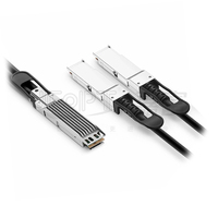 Câble DAC de dérivation 800G OSFP FIN vers 2x400G QSFP112 passif avec blindage tressé/feuilleté pour 5G