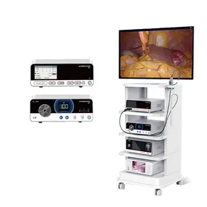 4K Display for Endoscopy System