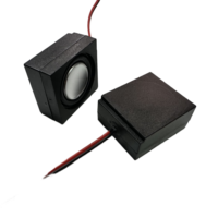 2831 28mm * 31Mm 4ohm 3W N40 aimant puissant sans cavité d'oreille cadre rectangulaire haut-parleur sonore avec fil conducteur