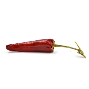 sweet paprika Chili big chili for Seasoning Pepper Red Dry Chilli whole