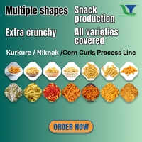 Machine à faire des boucles de maïs électriques automatiques certifiée CE pour la fabrication de Kurkure, Cheetos, NikNaks