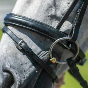 Bridon de dressage pour cheval de haute qualité, confortable, durable, en cuir, fabriqué en cuir indien, élégant équipement d'équitation anglais - Product Image 4