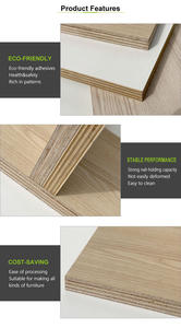 Современная Экологичная Влагостойкая Фанера (ДСП) с Клеем E0 для Декоративной Мебели и Интерьера по Заводской Цене - Product Image 4