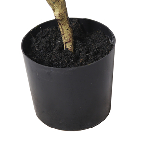 Plantas artificiales de 120cm en maceta, plantas tropicales, árbol de <span class=keywords><strong>Jacaranda</strong></span> para decoración interior del hogar - Product Image 5